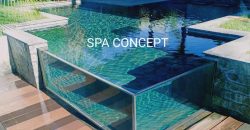 SPA CONCEPT – Artisan créateur de piscines à Saint-Louis