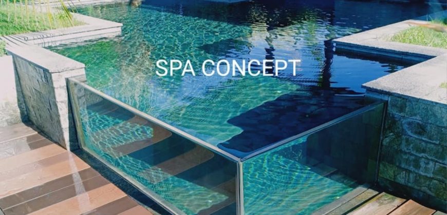 SPA CONCEPT – Artisan créateur de piscines à Saint-Louis