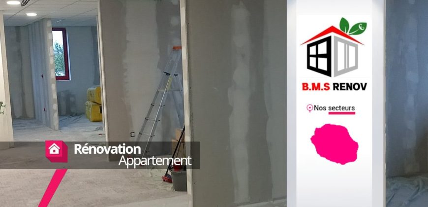 BMS Rénov – Rénovation d’appartement à Saint-André
